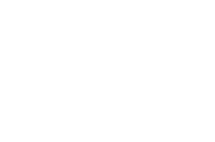 lightmetrics logo